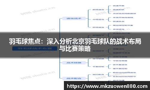 羽毛球焦点：深入分析北京羽毛球队的战术布局与比赛策略