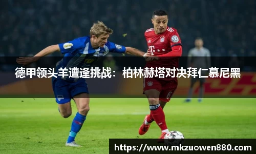 半岛bob·官方网站