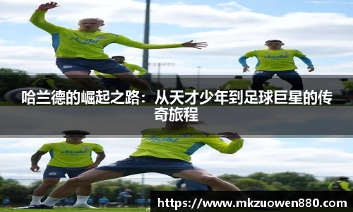 半岛·BOB官方网站