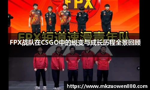 BoB半岛·体育中国官方网站
